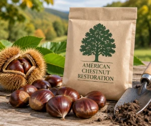 Free American Chestnut Seeds to Grow a Piece of American History