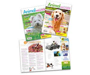 Claim Your Free Issue of Animal Wellness Magazine for Dogs and Cats Today!