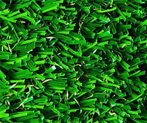 Get 3 Free Samples of Greenline Artificial Grass - Fill the Form Now!