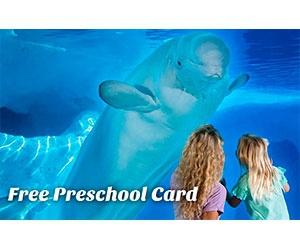 Free SeaWorld and Aquatica Orlando Admission for Kids 5 Years and Under - Florida Residents Only