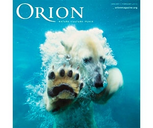 Request Your Free Issue of Orion Magazine