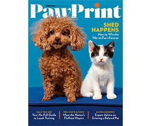 Stay Connected with Your Furry Family: Subscribe to PawPrint Magazine for Free