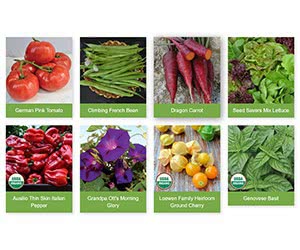 Get Your Free Seed Savers Exchange Seed Catalog Today!
