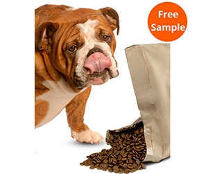 Get Free Dog Food Samples from Bounce and Bella for a Healthier, Happier Pup