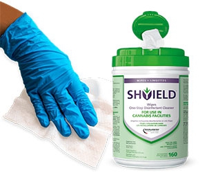 Get Your Free Shyield Disinfectant Wipes Now