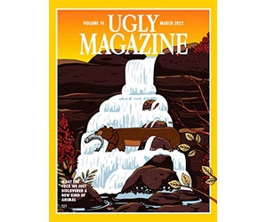 Get a Free Copy of Ugly Magazine and Enjoy a Fun Read