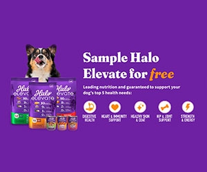 Get Your Dog's Health to the Next Level with Free Halo Elevate Dry Dog Food