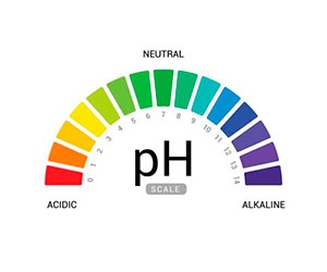 Get Your Free pH Testing Strips Today