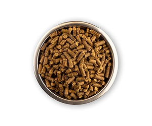 Discover the Benefits of Pig & Bear Cold Pressed Dog Food - Get a Free Sample!