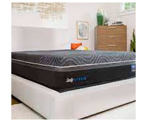 Sleep Like Royalty with Free Sealy Mattresses