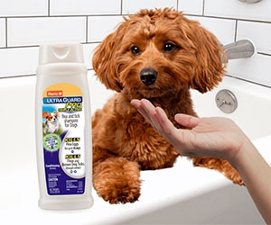 Experience the Power of Hartz Triple Active Flea & Tick Dog Shampoo - Apply for a Free Sample and Review!