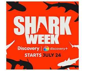 Dive into Adventure: Win a Shark Dive Trip for 2 and $20,000 | Islander Charters