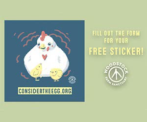 Decorate Your Gear with a Free Woodstock Farm Sanctuary Sticker