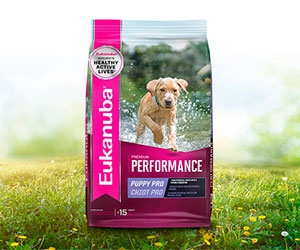 Get Free Eukanuba Puppy Pro Dry Dog Food