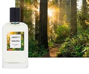 Free Abbott Sequoia Fragrance and Non-Toxic Candle: Limited Offer for the First 10,000 Sign-Ups