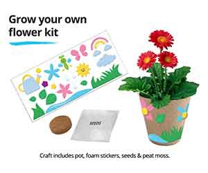 Free Grow Your Own Flower Kit at JCPenney