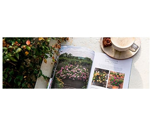 Handbook of Roses 2023 Catalog - Discover the Beauty of Roses for Your Garden!