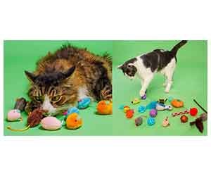 Get Free Cattraction Silver Vine & Catnip Multipack or Crinkle Mice from Hartz to Entertain Your Cat