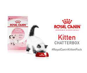 Free Royal Canin Feline Health Nutrition Kitten Dry Food Bag