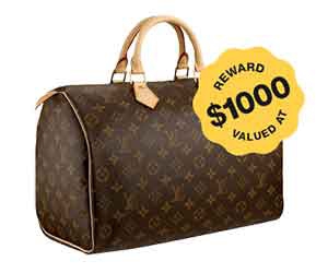Free $1000 Worth Of Louis Vuitton Products