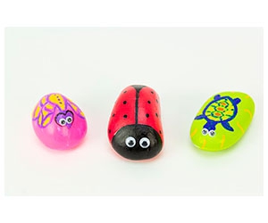 Painted Garden Rocks Craft Kit