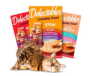 3 Free Samples of Delectables Cat Treats