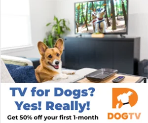 DOGTV: Sign Up for a 3-Day Free Trial of Relaxing and Stimulating Content for Dogs