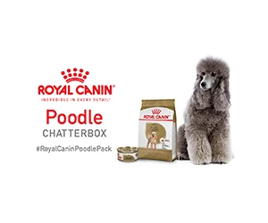 Get a Free Royal Canin Breed Health Nutrition Poodle Adult Dry Dog Food or Wet Canned Food - Apply Now!