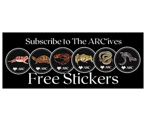 Free Amphibians and Reptiles Stickers - Add a Touch of Nature to Your Belongings!