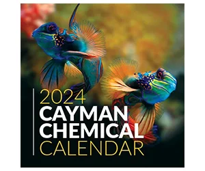 Get a Free 2024 Cayman Calendar to Kickstart Your New Year!