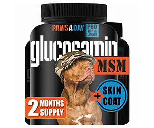 Get a Free Paws A Day Glucosamine for Dogs Hip & Joint Supplement After Rebate