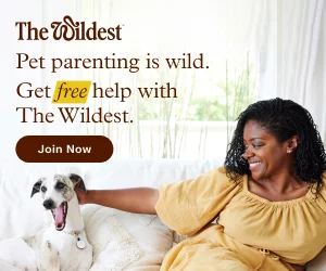 Join The Wildest and Stay Informed with Pet Tips, Product Updates, and Exclusive Offers