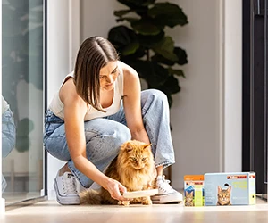 Get a Free Sample of Feline Natural Cat Food - Grain-Free and Nutritious!