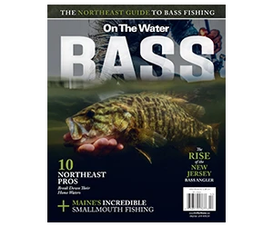Get Your Free Copy of the BASS Special Edition Magazine - 100% No-Cost Gift with Free Shipping!