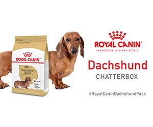Free Royal Canin Breed Health Nutrition Dachshund Dog Food - Tailored for Your Dachshund!