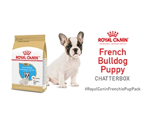 Free Royal Canin French Bulldog Puppy Food - Limited Time Offer Until April 21st