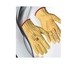 Free ELC Gloves
