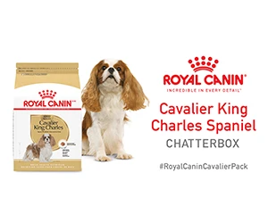 Free Royal Canin Cavalier Dog Food or Treats: Sign Up by May 6th!