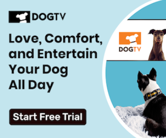 Free Trial Offer: Experience DOGTV with Your Furry Friend for 1 Month!