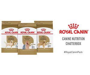 Free Royal Canin Breed Health Dog Food, Bowl, and Tote Bag with Ripple Street