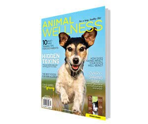 Animal Wellness Magazine Subscription Offer