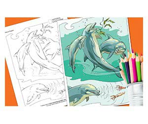 Download Free National Geographic Coloring Book: Animals for Your Kids!
