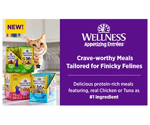 Wellness Appetizing Entrées Cat Food Sample - Treat Your Feline Friend Today!