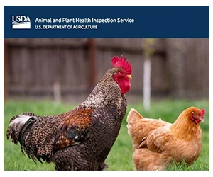 Claim Your Free 2025 USDA Defend the Flock Chicken Calendar Today!