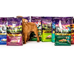 Free Zignature Dog Food Sample