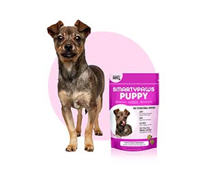 Support Your Dog's Health with Free SmartyPaws Dog Food Samples