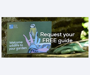 Welcome Wildlife to Your Garden: Get a Free Gardening Guide from RSPB