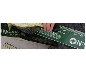 Get Your Free Northview Bank Fish Ruler - Exclusive Offer for Residents of WI, ND, SD, IA, IL and MN