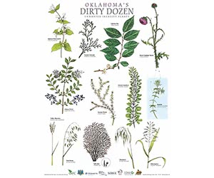 Get Your Free Oklahoma's Dirty Dozen Wall Poster Now!