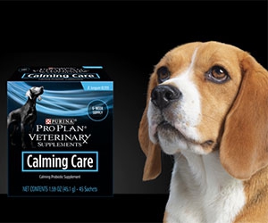 Get a Free 45-Day Supply of Purina Pro Plan Calming Care Probiotic Supplements